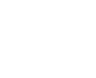 Sea Of Leaks